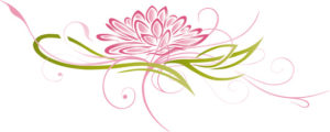 Lotusblüte, Lotusblume, Lotus, Seerose