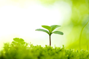 春分~スイッチをONにした日☆DNAアクティベーションとアデプトプログラム